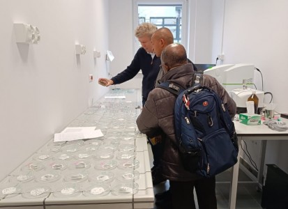 Click to zoom the picture.